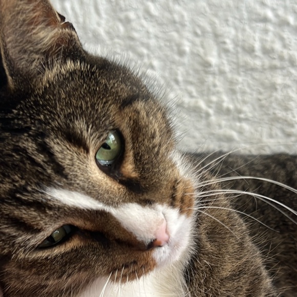 Meet your Posher, B - Picture 2 of 2